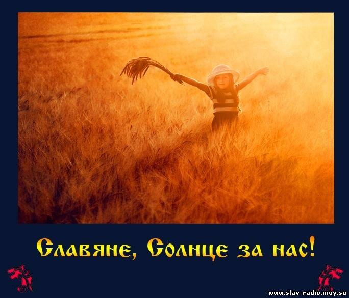 White Wolf | Москва