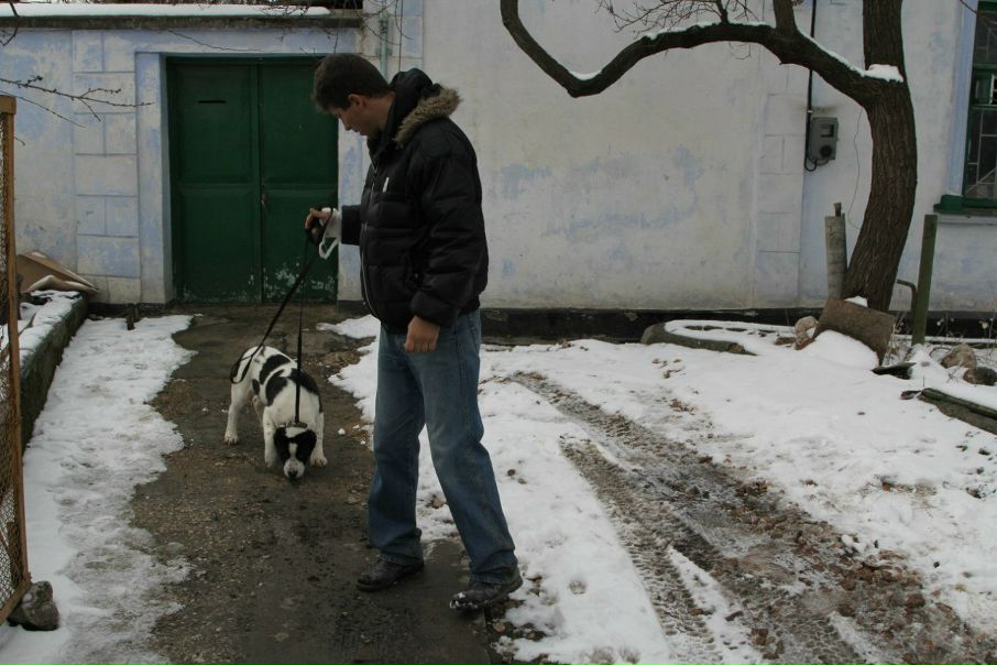 №6, Руслан Гордеев, Львов №6, Руслан Гордеев, Львов