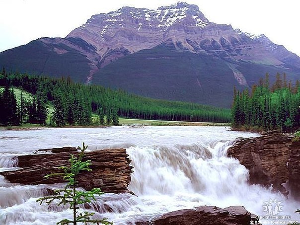 №28, Антон Завірюха, Буки №28, Антон Завірюха, Буки