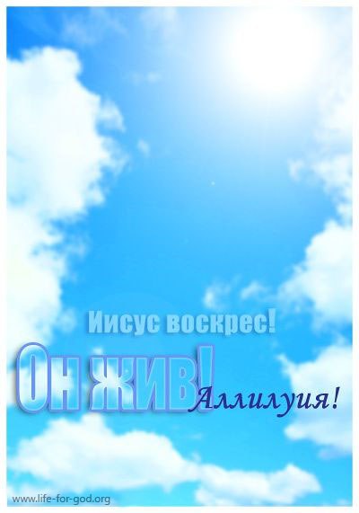 Даша Мелекова | Краматорск