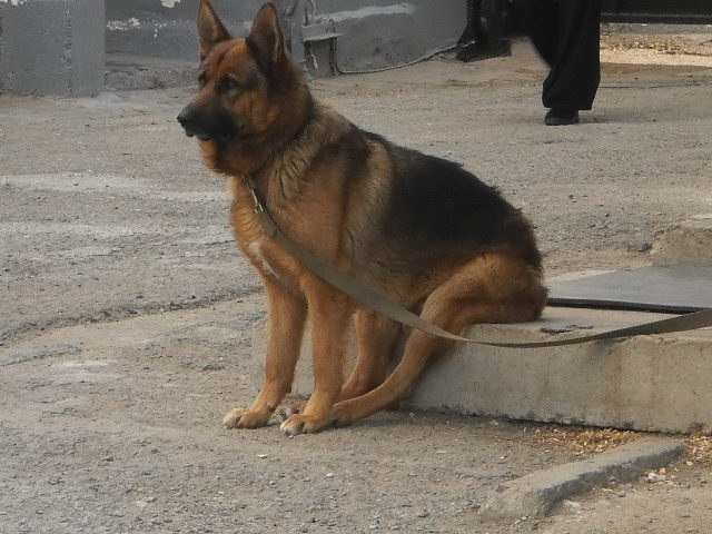 Мария Сорочкина | Москва