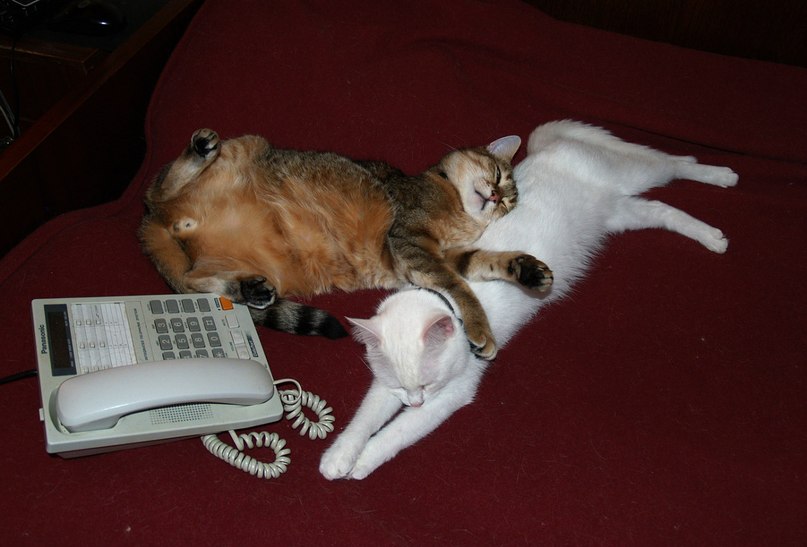 Виталий Лиман | Киев