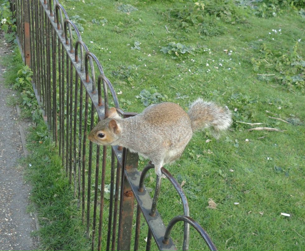 Анна Сватовская | Санкт-Петербург