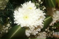 №38 Кристина Штаненко 27.03.1994: профиль, фото, статус - ВКонтакте №38 Кристина Штаненко 27.03.1994: профиль, фото, статус - ВКонтакте