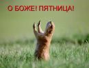 №15 Татьяна Гадяцкая (Карлссон) 21.01: профиль, фото, статус - ВКонтакте №15 Татьяна Гадяцкая (Карлссон) 21.01: профиль, фото, статус - ВКонтакте