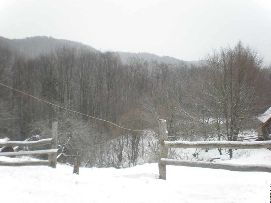 Володимир Унгурян | Черновцы