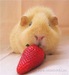 Андрей Лактионов фотография #10