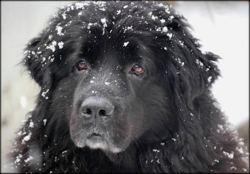Татьяна Каневец | Челябинск