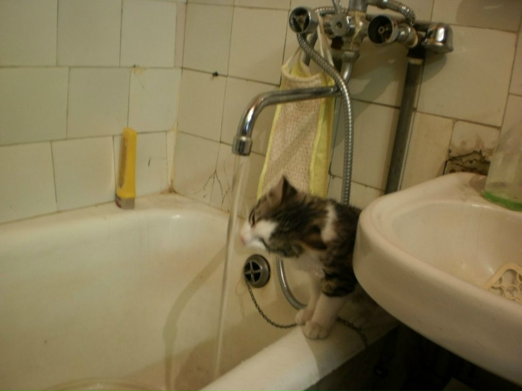 Зинаида Гусева | Макеевка