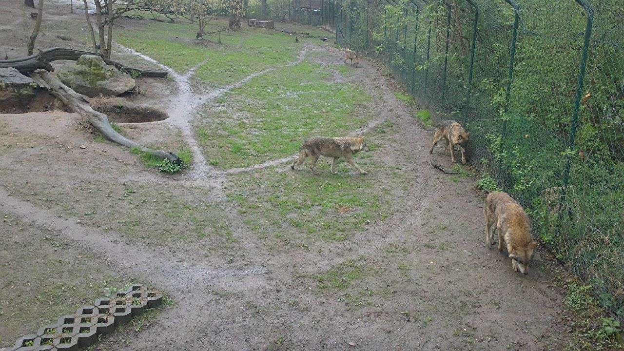 Егор Ульянов | Курган