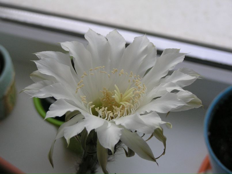 Екатерина Бабенко | Одесса