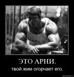 Антон Костелов | Сестрорецк