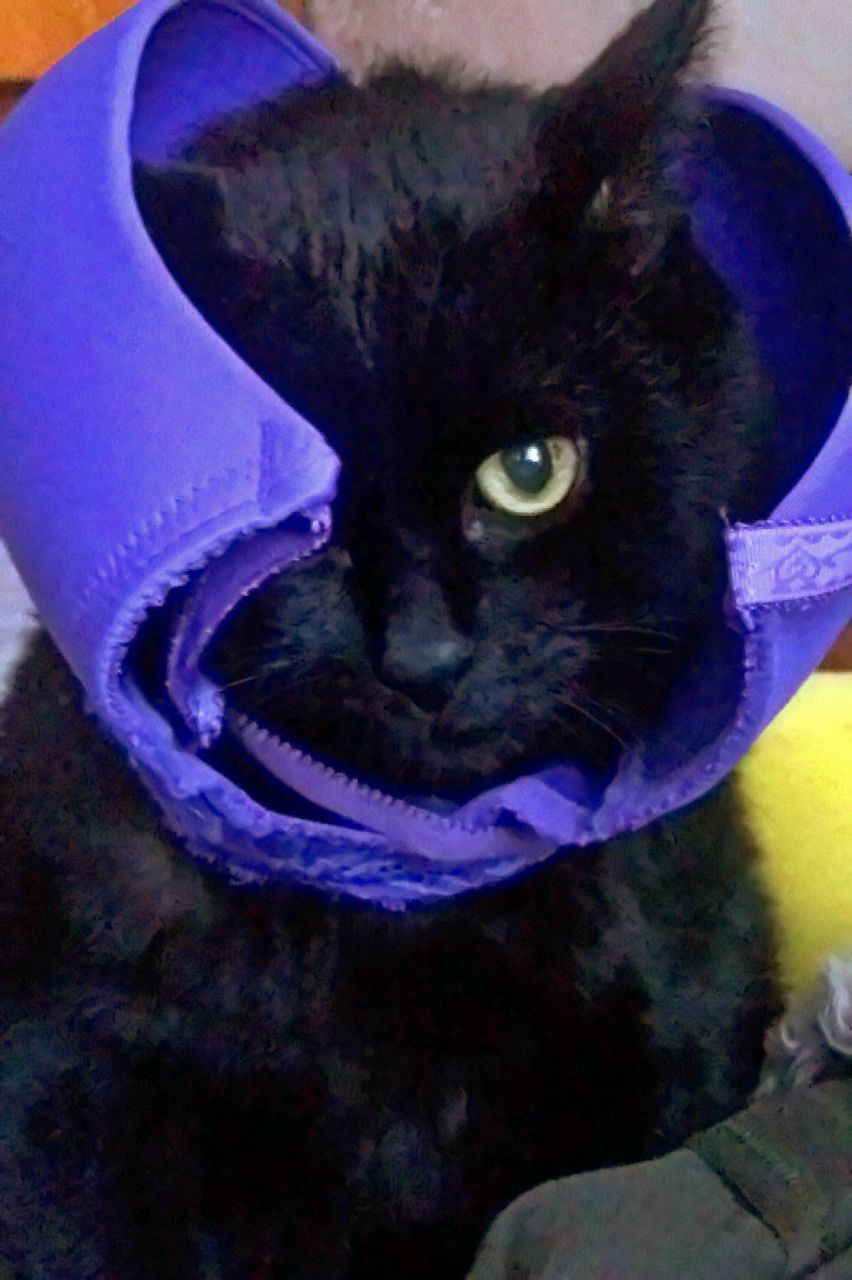 Анна Кандидатова | Тверь