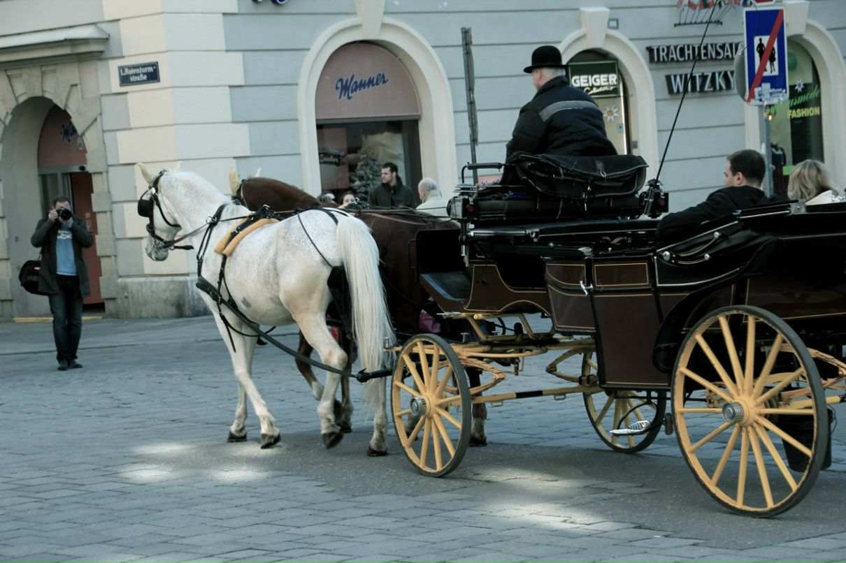 Ваня Василенко /$_M_O_K_E\ | Моршин