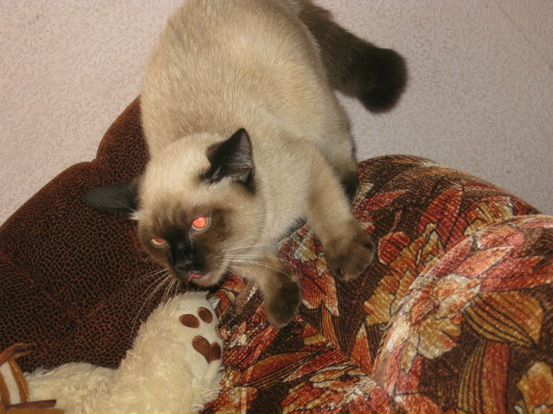 Марина Маркова | Санкт-Петербург