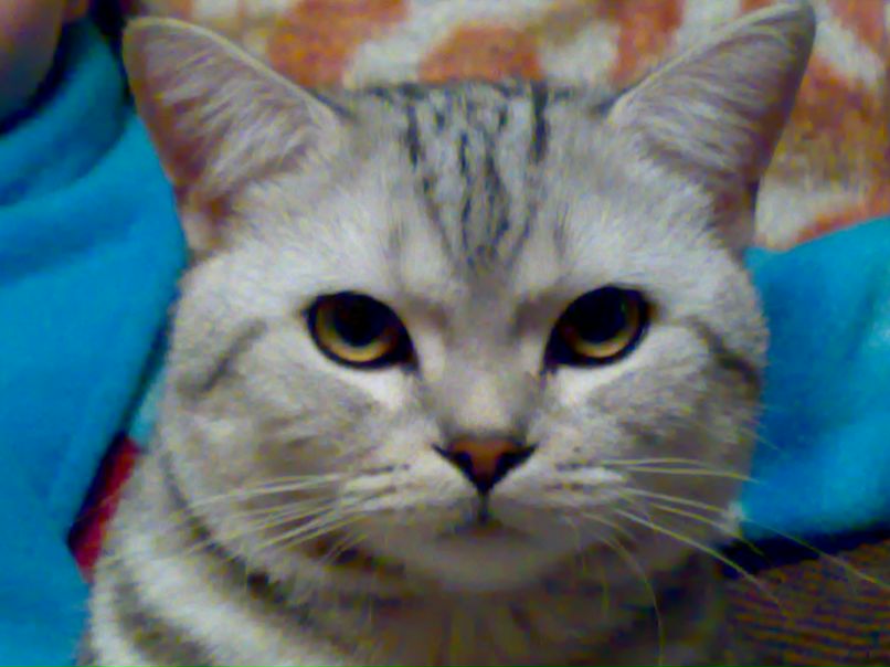 Екатерина Борисова | Ярославль