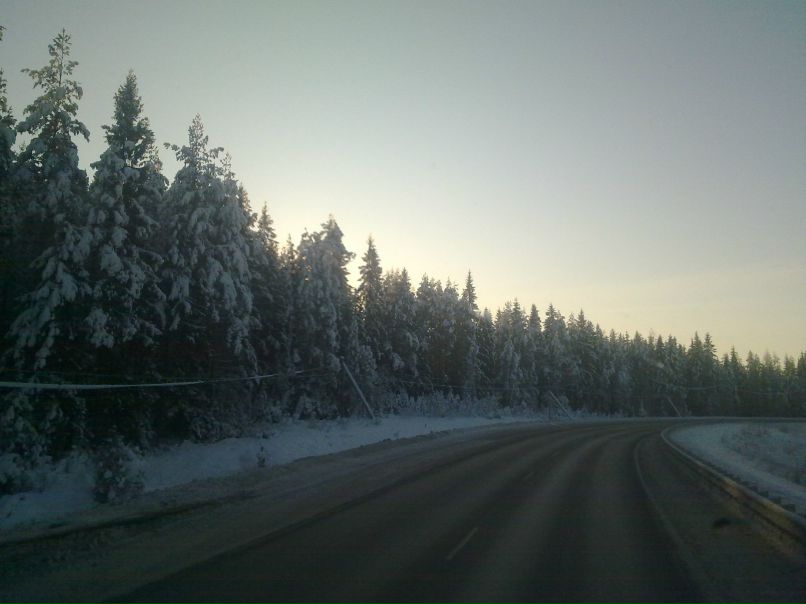 Дэн Соловей | Санкт-Петербург