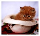 №34 Люда Анисимова 29.10: профиль, фото, статус - ВКонтакте №34 Люда Анисимова 29.10: профиль, фото, статус - ВКонтакте