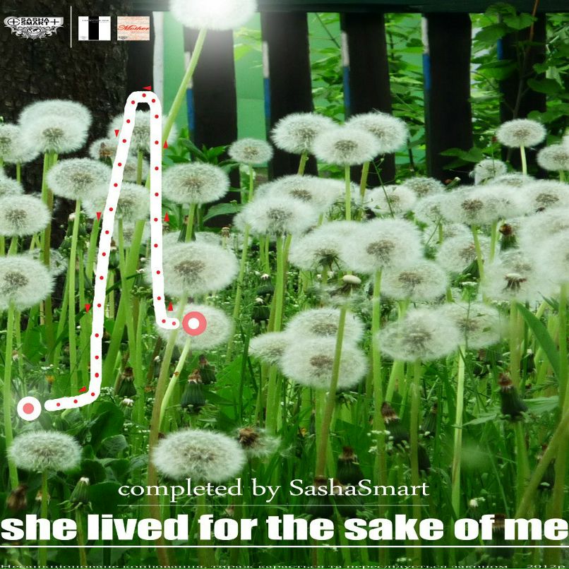 Саша Смарт _DjS.Smart_ | Киев