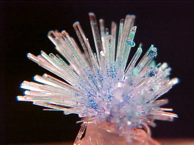 Анастасия Малкова | Долина Свободы