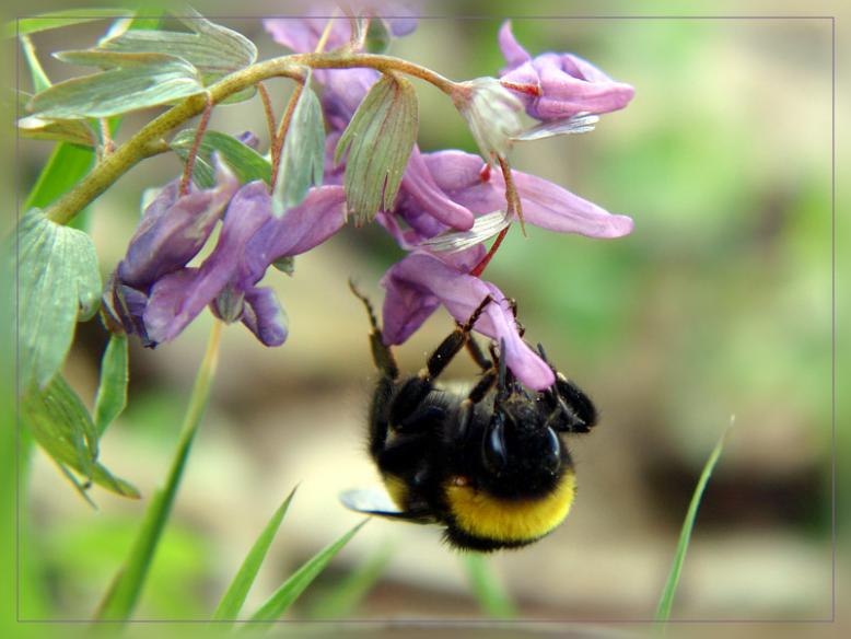 Павел Куркин | Denpasar