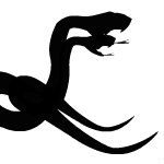 Владислав Прохоров | Казань