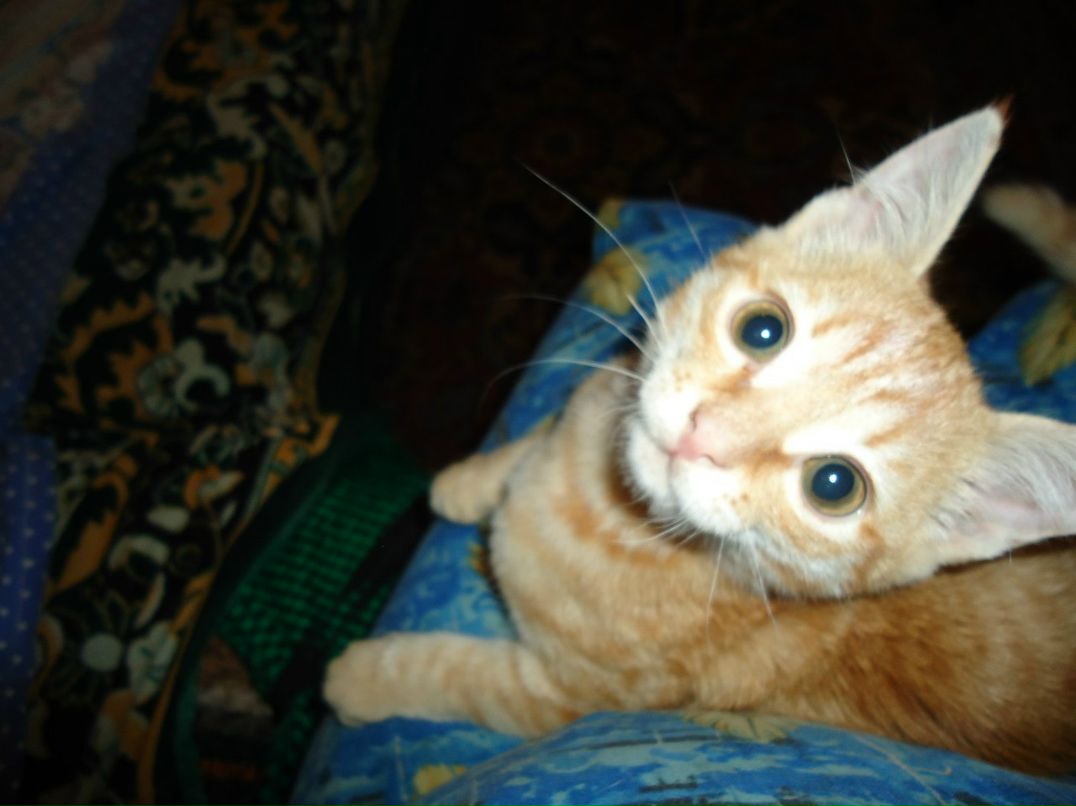 Алёна Васильева | Кемерово