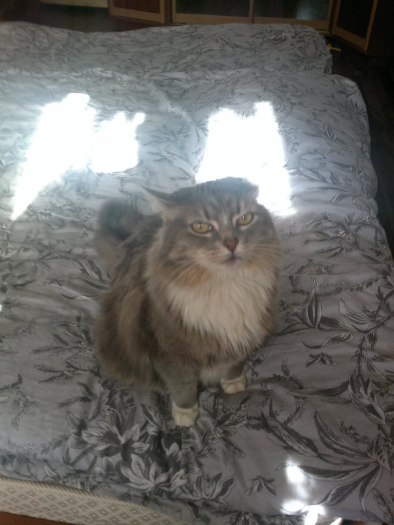 Роман Смирнов | Санкт-Петербург