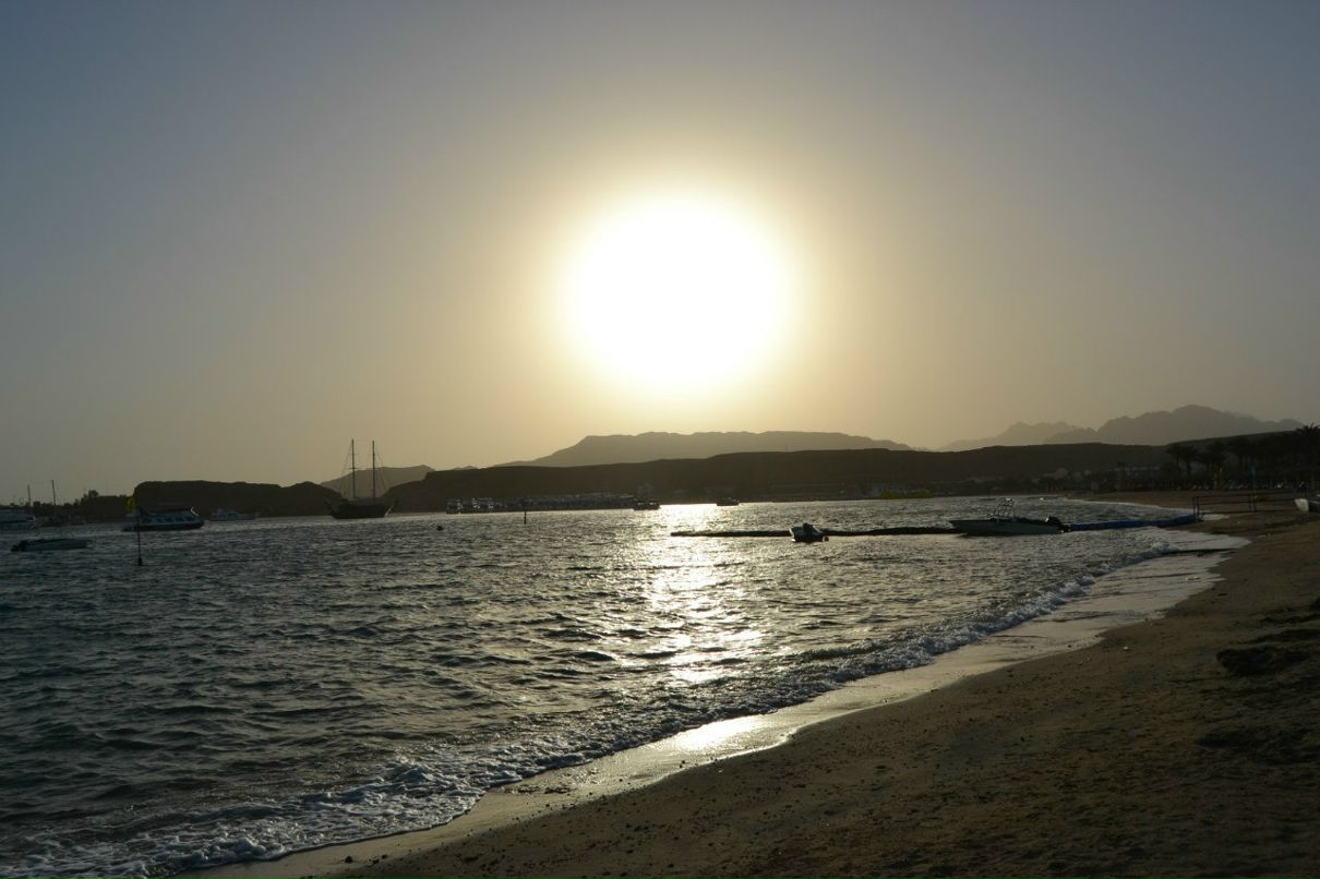 Мария Дмитриева | Выборг