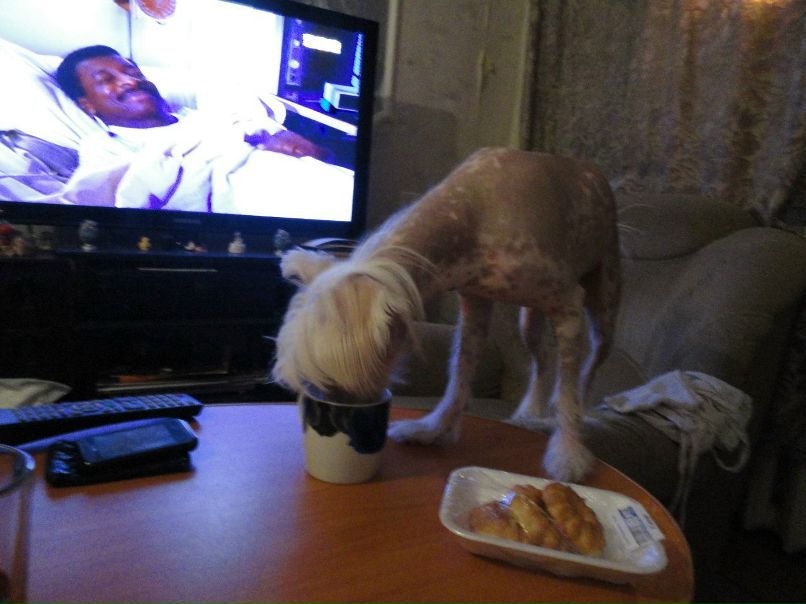 Оля Федоткина | Лесной