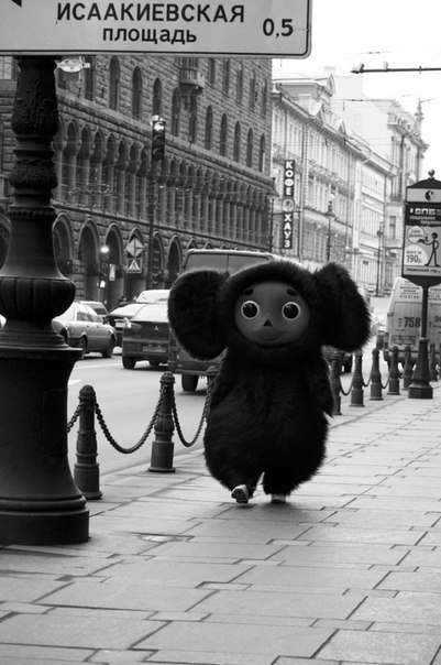 Ира Мытко | Киев