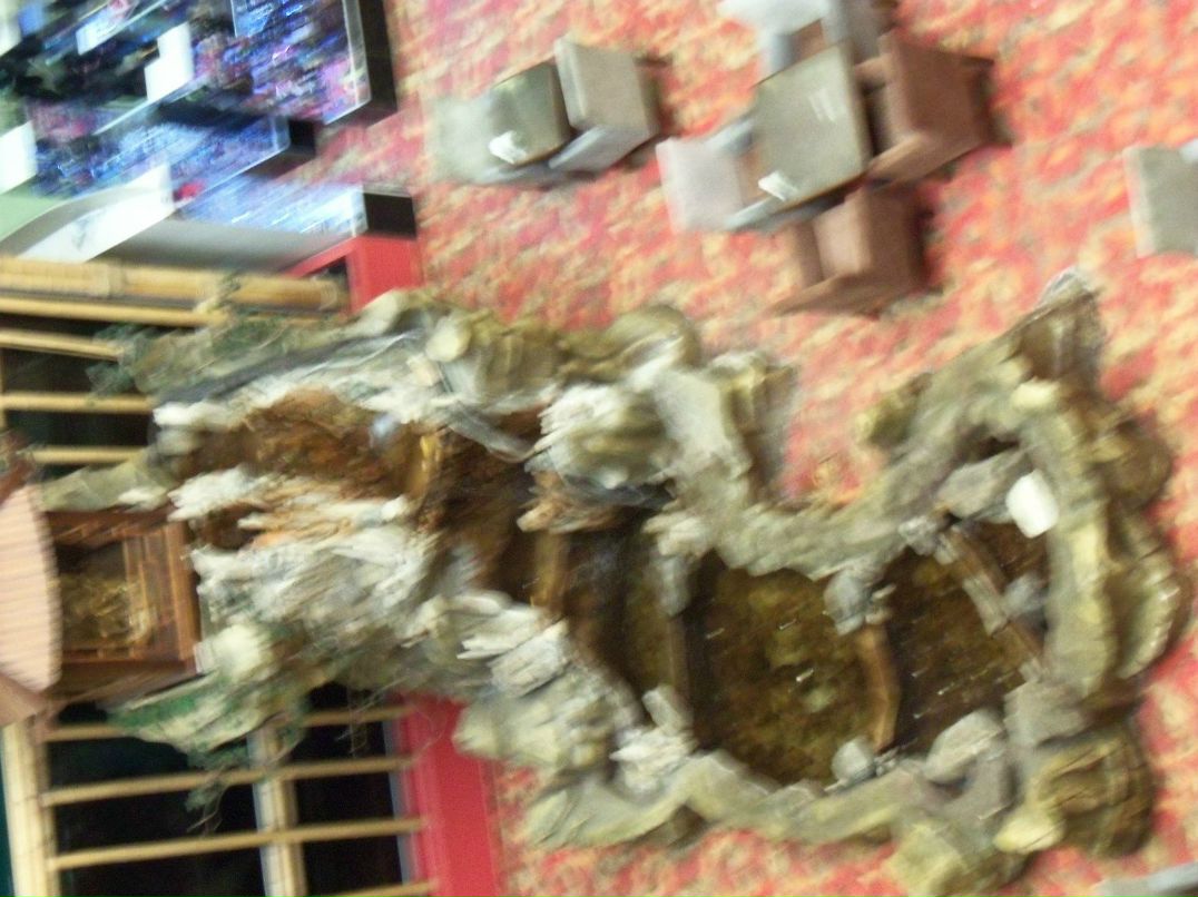 Серёга Гляненко | Горишние Плавни / Комсомольск