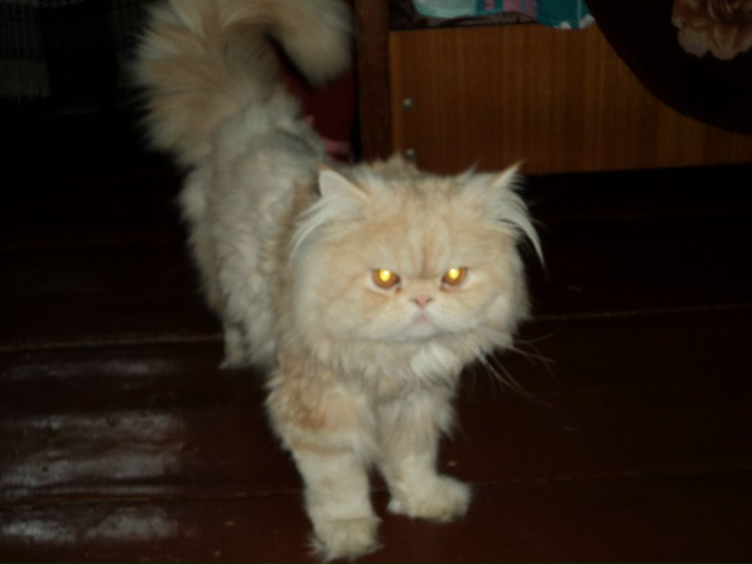 Ярослав Шкутник | Красноярск