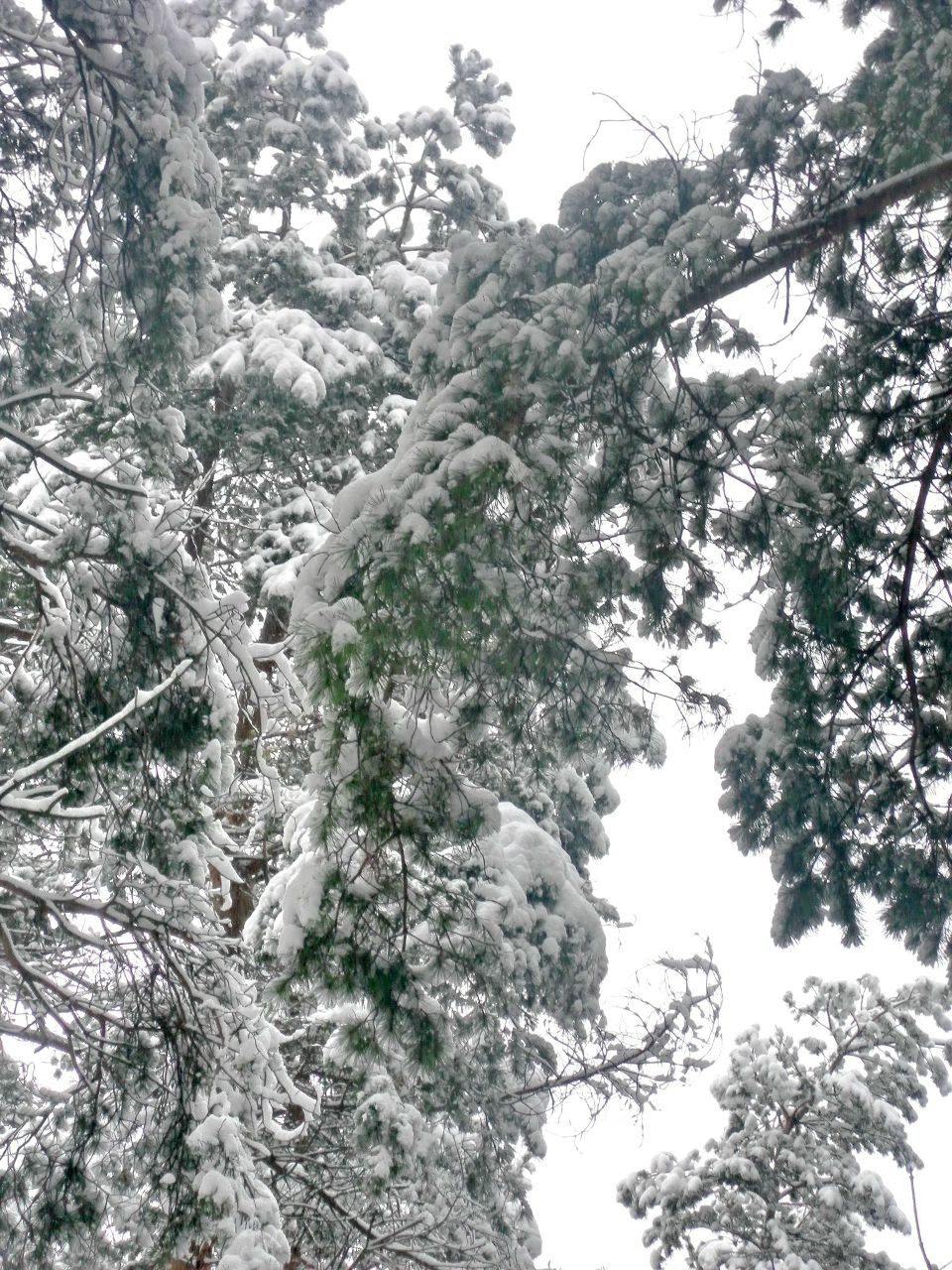 Мария Пескова | Москва