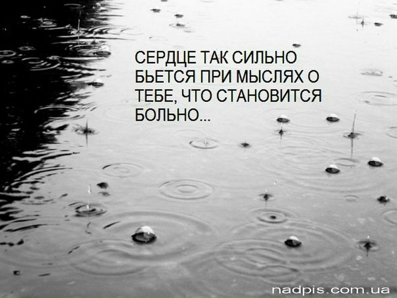 Серёга Ковальчук Солист | Псков