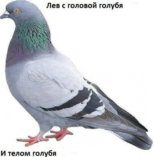 Влад Теплицкий | Сочи