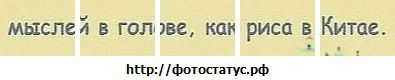 №21 Антонина Дегтянникова 24.05: профиль, фото, статус - ВКонтакте