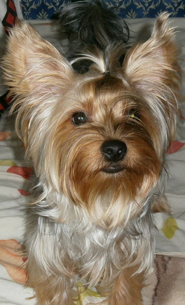 Юлия Апакина | Henne