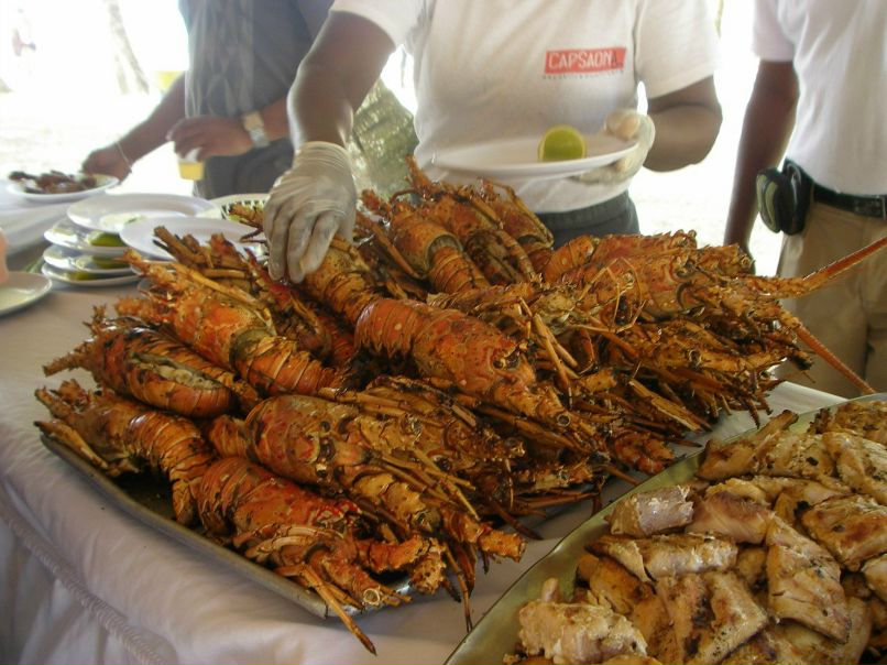 Светлана Кудряшова | Валдай