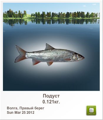 Денис Карнаух | Сумы