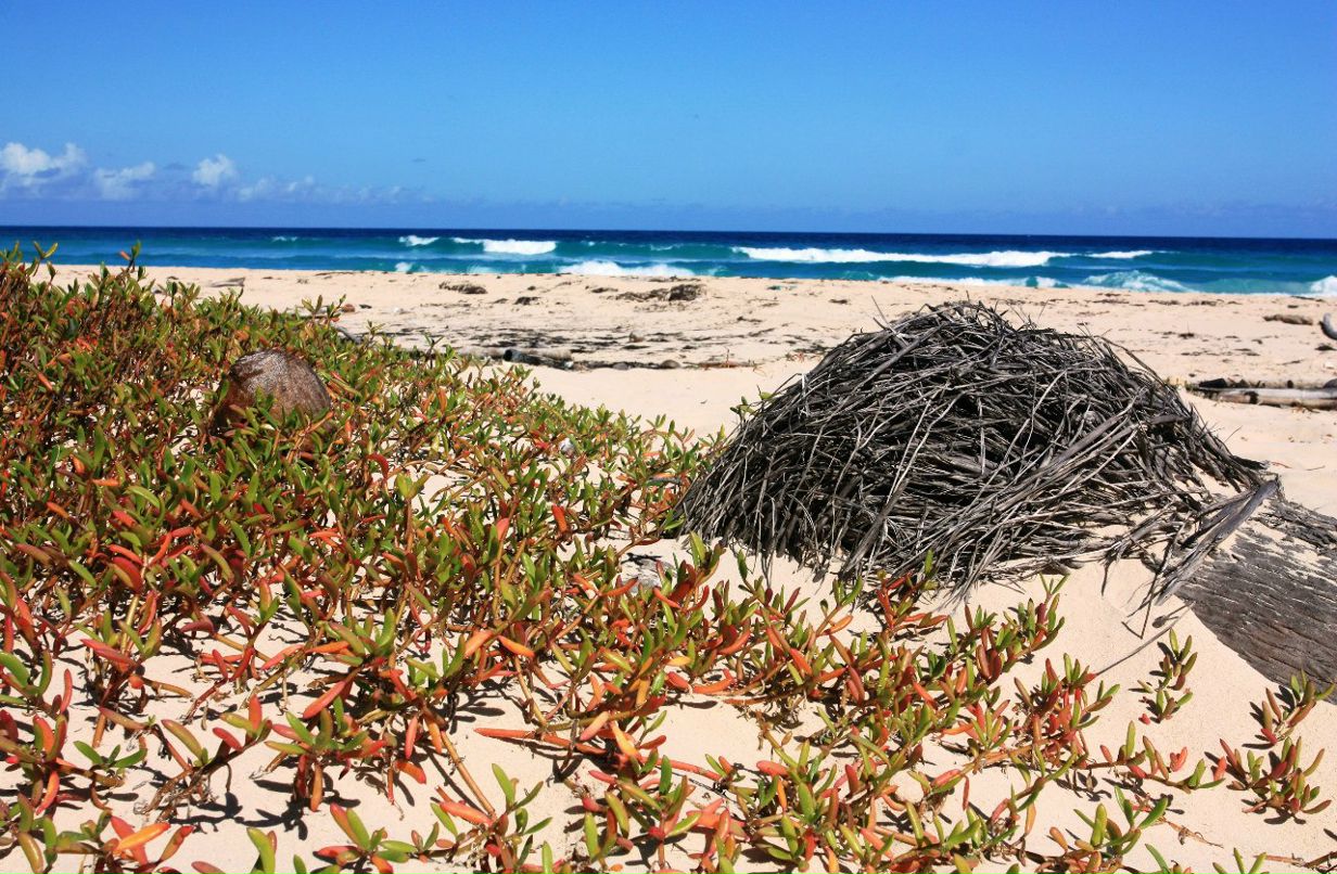 Александр Fe-Shin | Москва