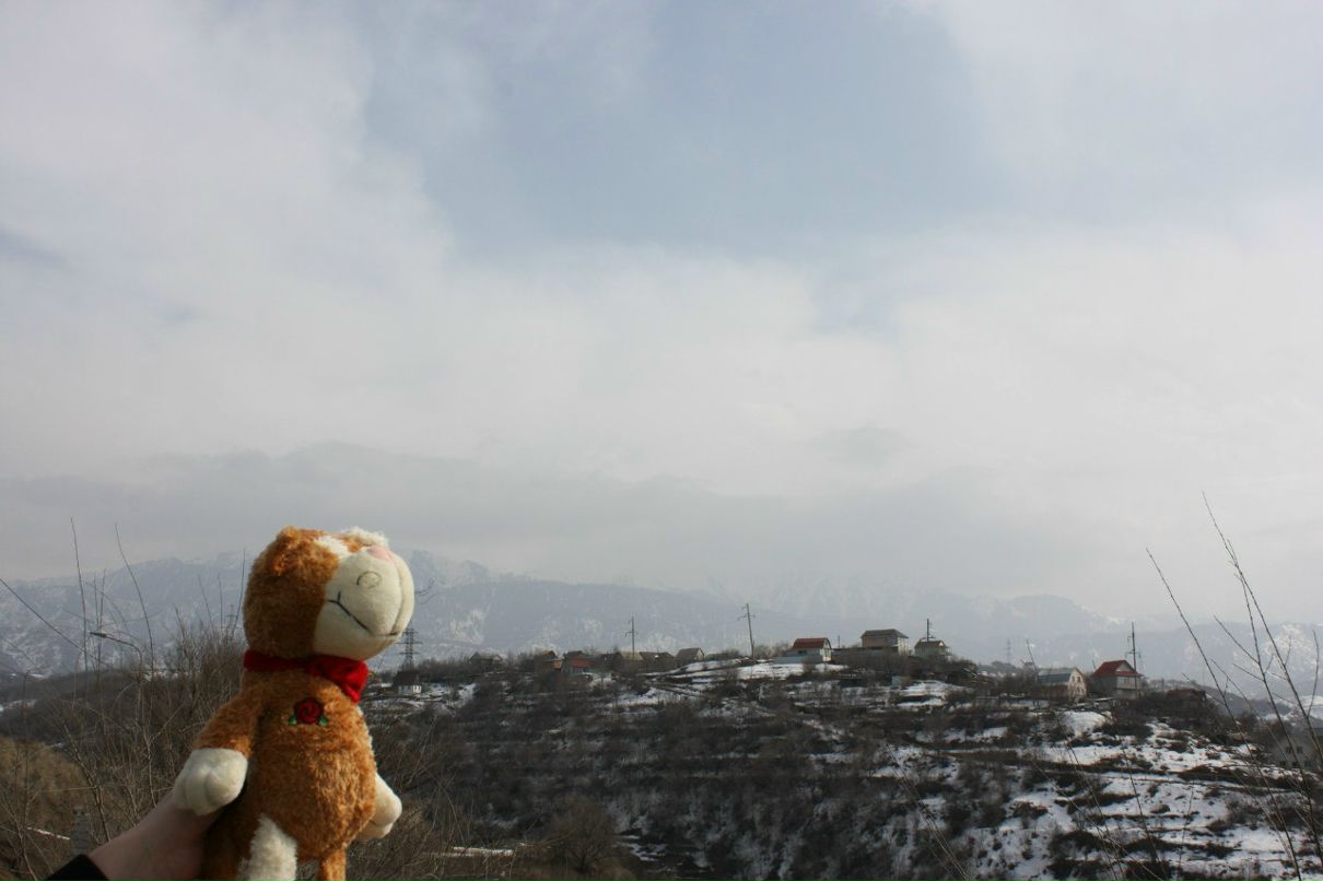 Виктория Паламарчук | Алматы