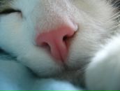 №19 Валерия Мацкевич 30.04: профиль, фото, статус - ВКонтакте