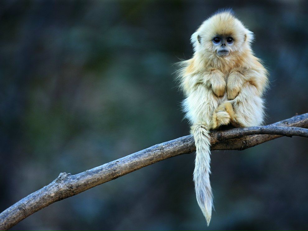 Светлана Недзвецкая | Волгоград