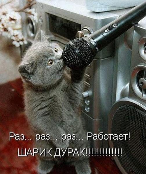 Сергей Пуговкин | Москва