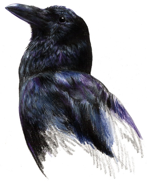 №104, Лидия Емельянова, Москва №104, Лидия Емельянова, Москва