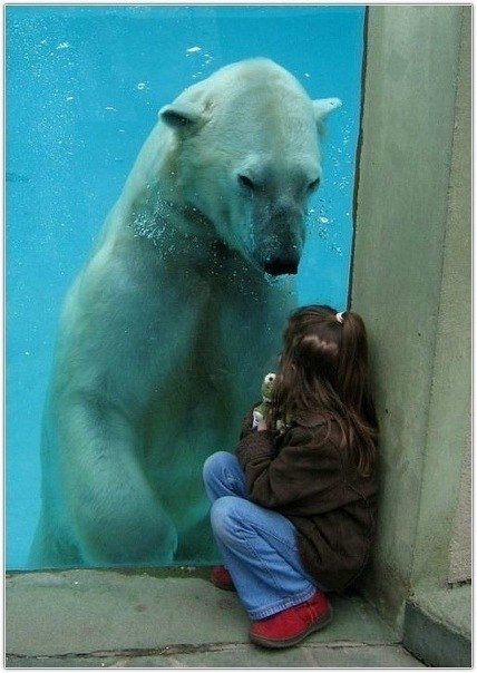 Павел Воробьев | Тамбов