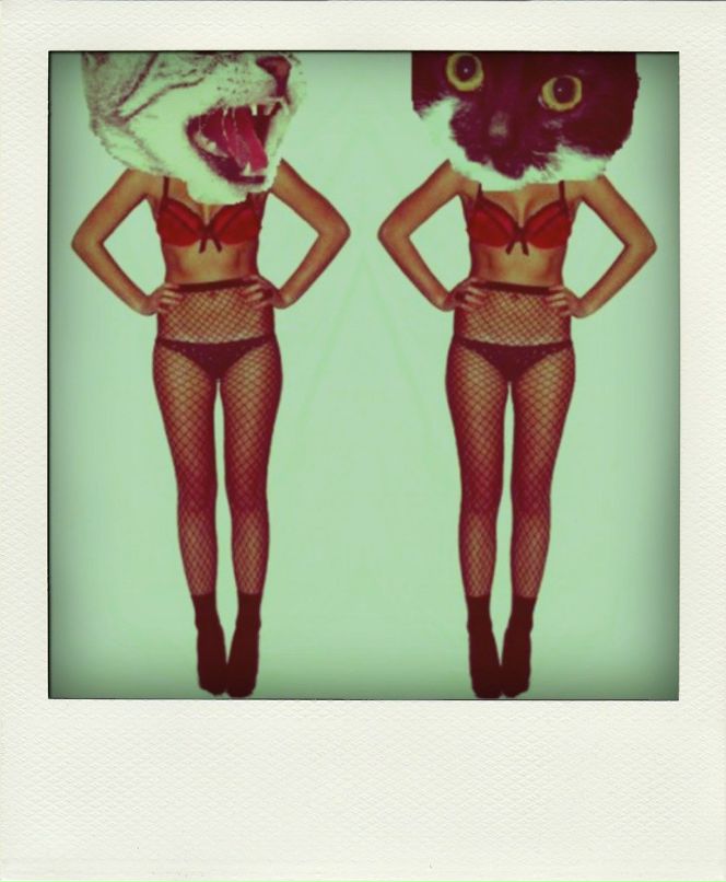 Елена Овчинникова | Санкт-Петербург