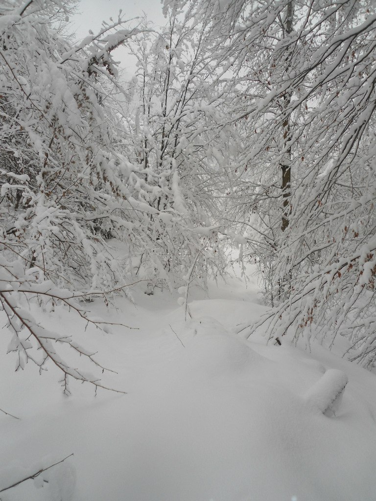 Анастасия Оробей | Киев