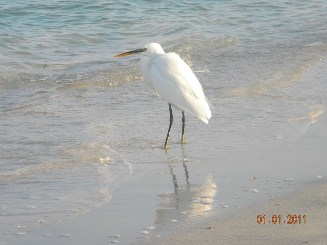 Оксана Хлутчина | 